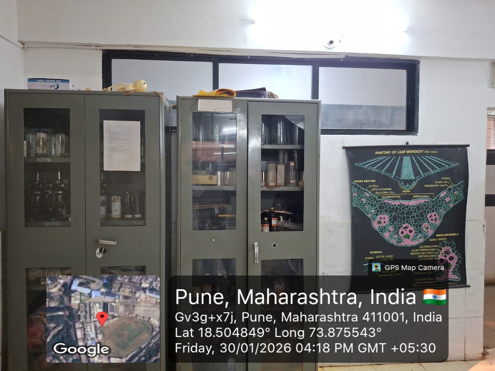 Library Facility